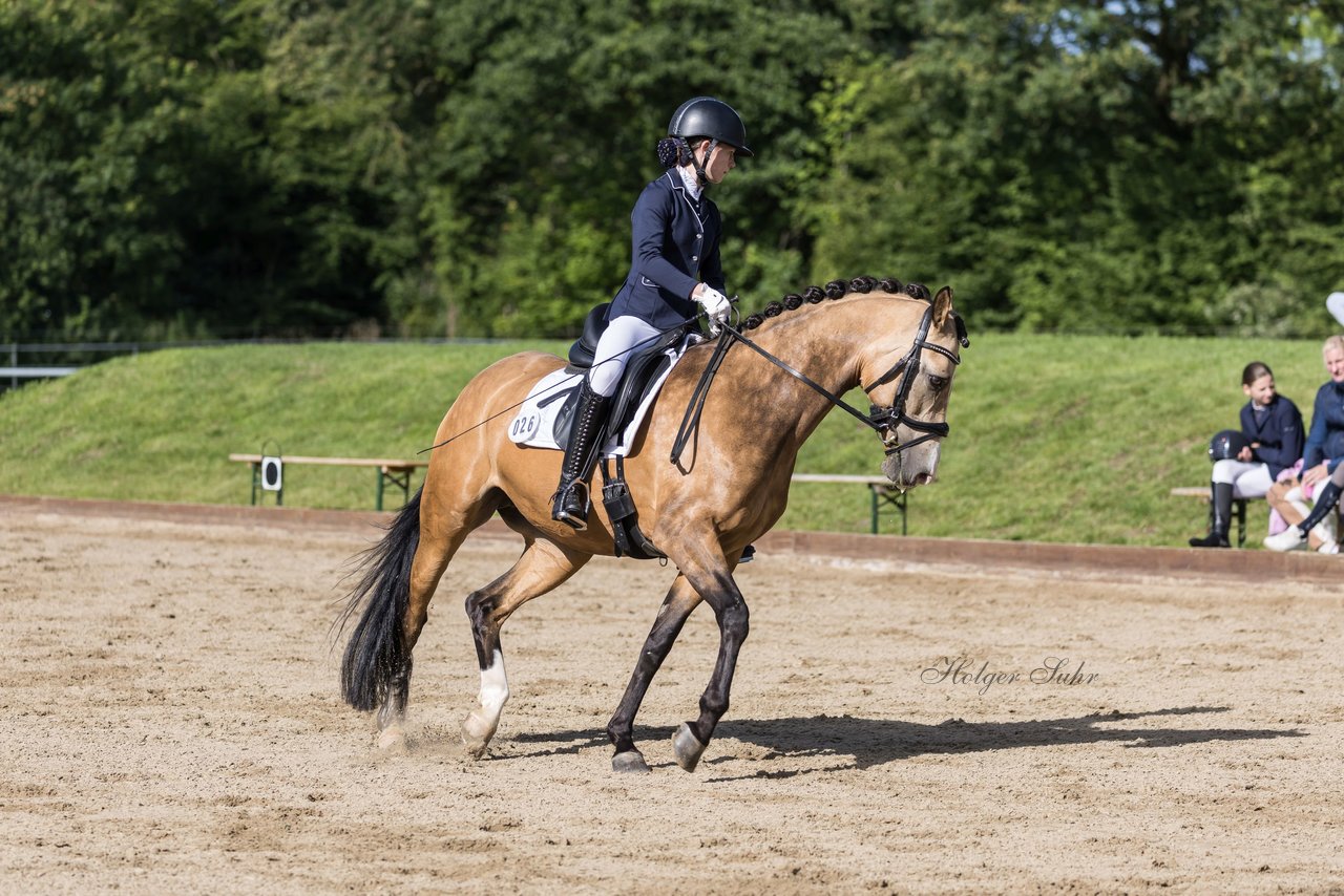 Bild 493 - Pony Akademie Turnier